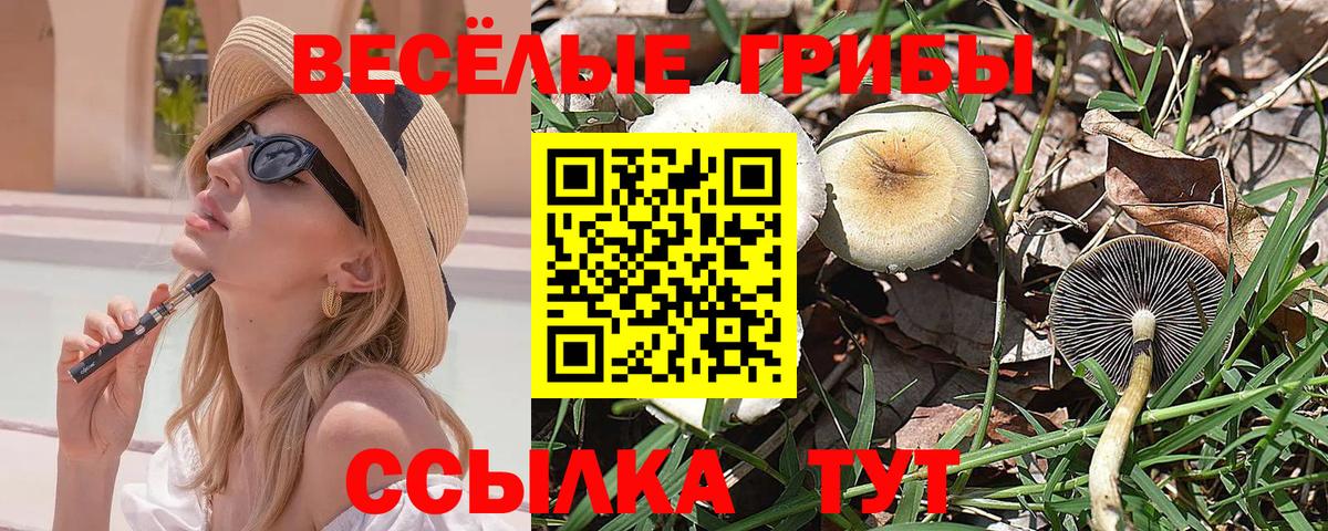 купить наркотики сайты  Псилоцибиновые грибы Psilocybe  Галлюциногенные грибы MAGIC MUSHROOMS  Вход с VPN  Благовещенск 